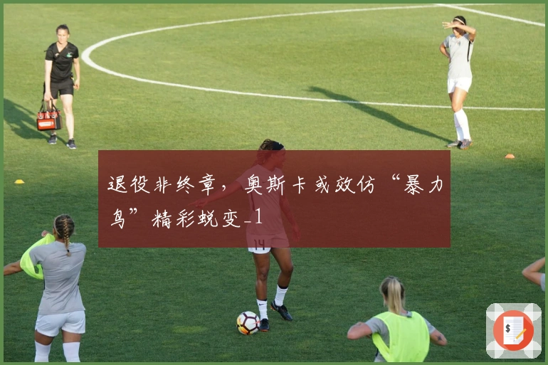 退役非终章，奥斯卡或效仿“暴力鸟”精彩蜕变_1