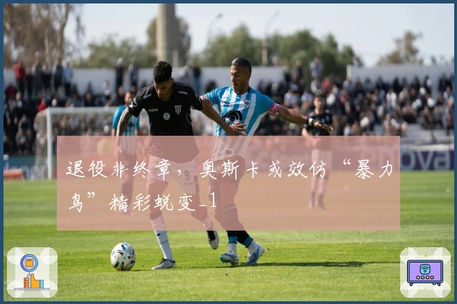 退役非终章，奥斯卡或效仿“暴力鸟”精彩蜕变_1