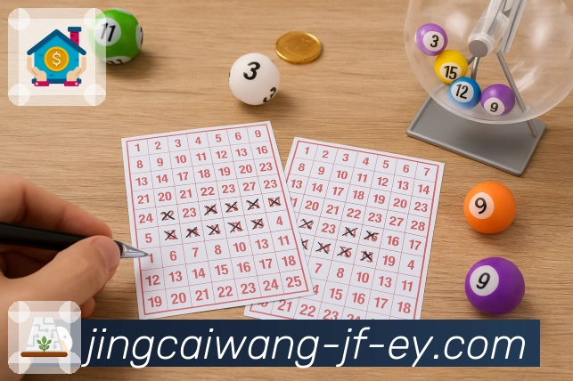 荣耀映照品牌征程